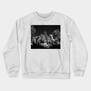 Cactus Garden, Capitol Park, Sacramento California Crewneck Sweatshirt